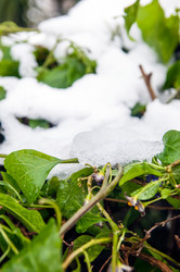 Similar image 1882780