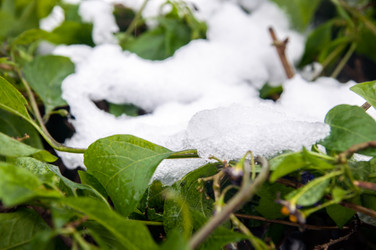 Similar image 1882782