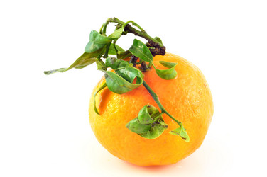 Similar image 1882859