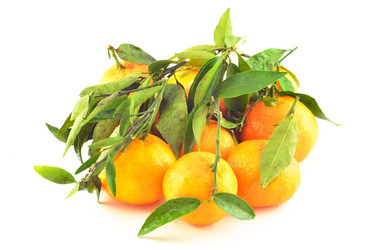 Similar image 1882917