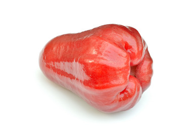 Similar image 1882920