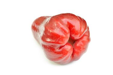 Similar image 1882922