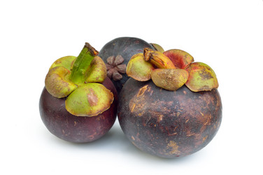 Similar image 1882932