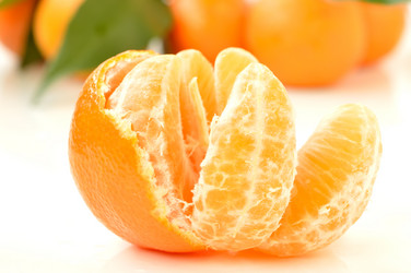 Similar image 1882940