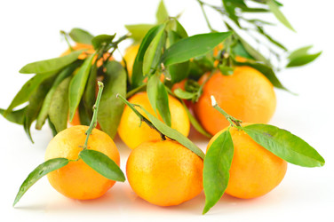 Similar image 1882942