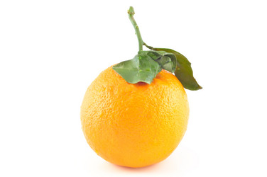 Similar image 1882943