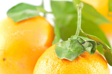 Similar image 1882945