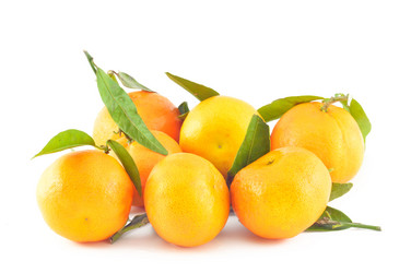 Similar image 1882946