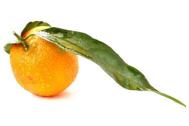 Similar image 1882947