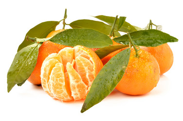 Similar image 1882950