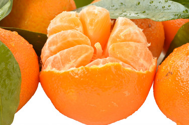 Similar image 1882952