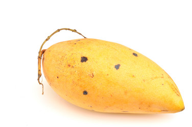 Similar image 1882953