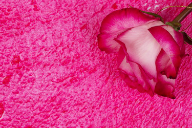 Similar image 1882983