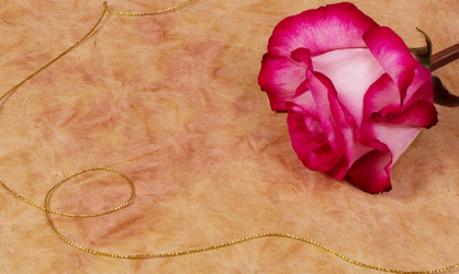 Similar image 1882985