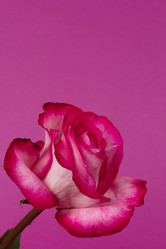 Similar image 1882988