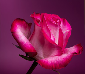 Similar image 1882989