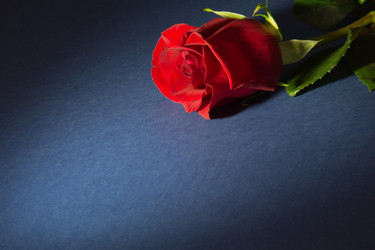 Similar image 1882994