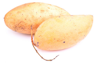 Similar image 1882999