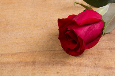 Similar image 1883050