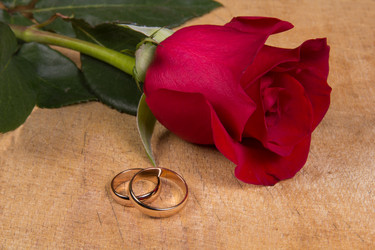 Similar image 1883051