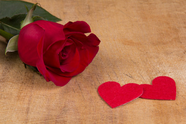 Similar image 1883054