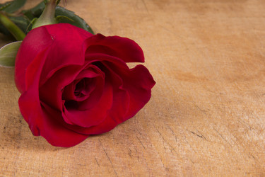 Similar image 1883060