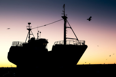 Similar image 1883114