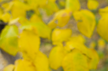 Similar image 1883124