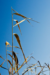 Similar image 1883129