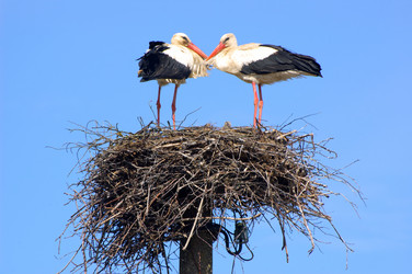 Similar image 1883130