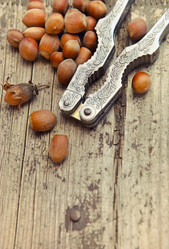 Similar image 1884523