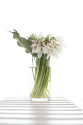 Similar image 1884734