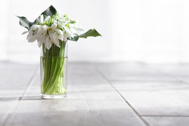 Similar image 1884736