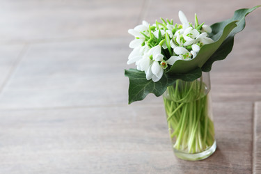 Similar image 1884738