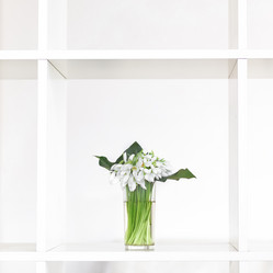 Similar image 1884739