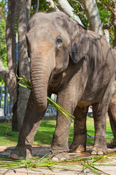 Similar image 1885204