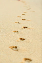 Similar image 1885205