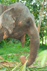 Similar image 1885208