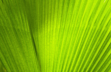 Similar image 1885233