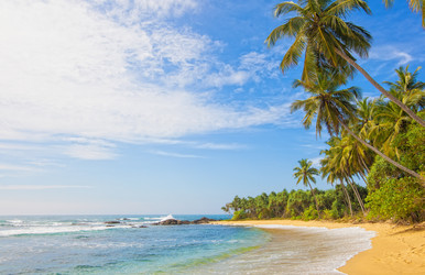 Similar image 1885259