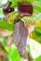 Similar image 1885261