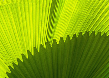 Similar image 1885265