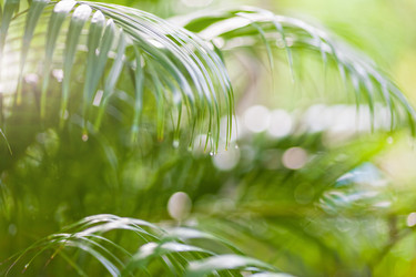 Similar image 1885270