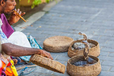 Similar image 1885274