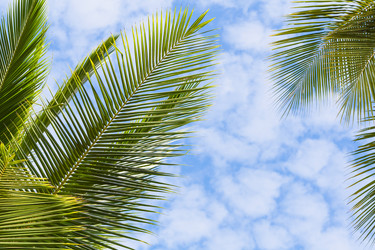 Similar image 1885289