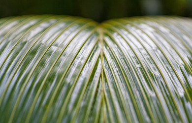 Similar image 1885295