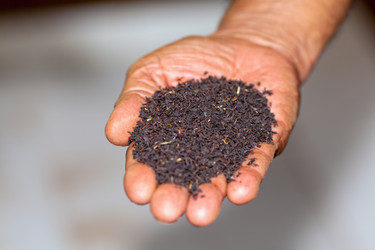 Similar image 1885297