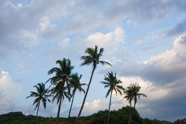 Similar image 1885350