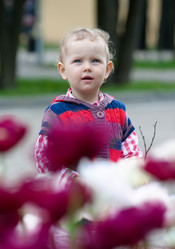 Similar image 1885667