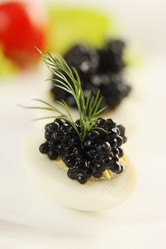 Similar image 1886035